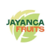 jayanca-logo